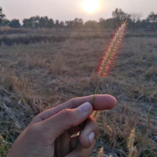 สมาชิกหมายเลข 5181926