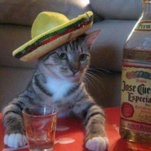 สมาชิกหมายเลข 5783602