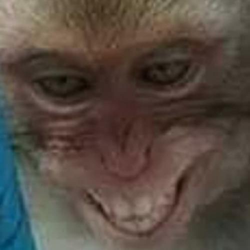 สมาชิกหมายเลข 6985226