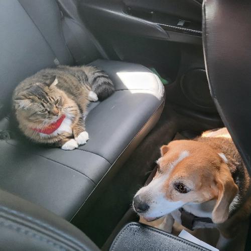 สมาชิกหมายเลข 4491615