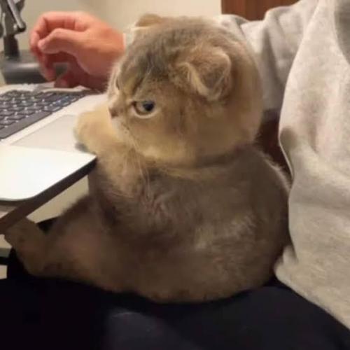 สมาชิกหมายเลข 7724547