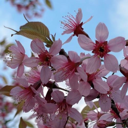 สมาชิกหมายเลข 8703269