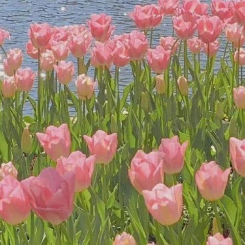 สมาชิกหมายเลข 8706429