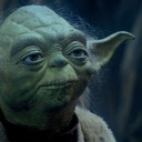 บุษบาริมรั้ว