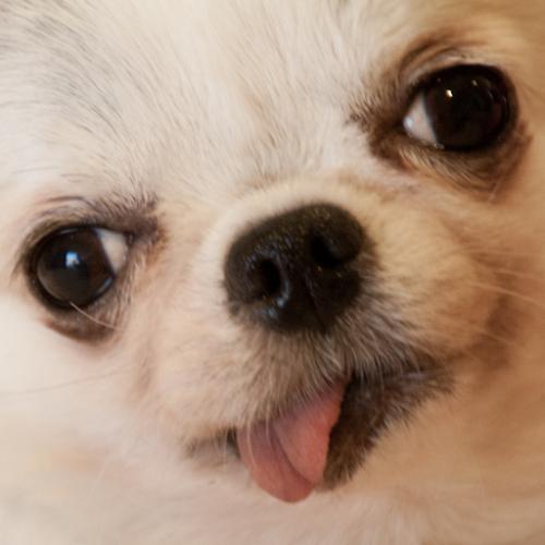 สมาชิกหมายเลข 5562086