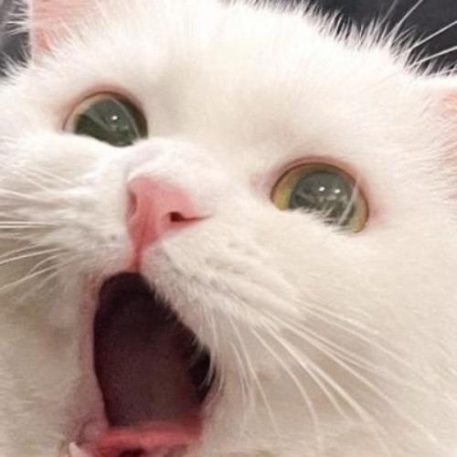 สมาชิกหมายเลข 3839627