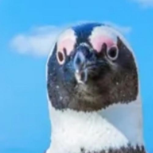 สมาชิกหมายเลข 6528178