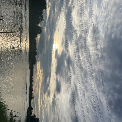 สมาชิกหมายเลข 1578230