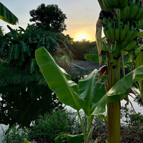 สมาชิกหมายเลข 6521297