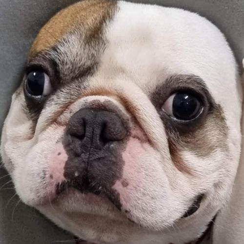 สมาชิกหมายเลข 7751231