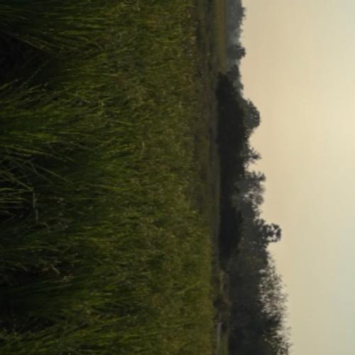 สมาชิกหมายเลข 2596584