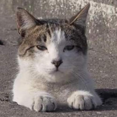 สมาชิกหมายเลข 3923452