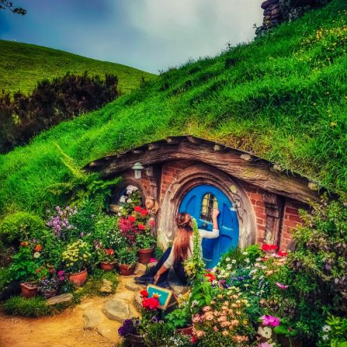 สมาชิกหมายเลข 4915015