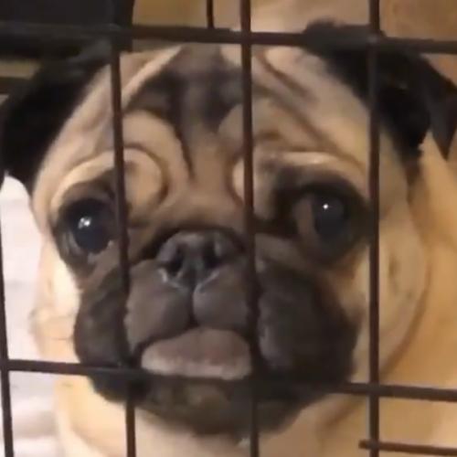 สมาชิกหมายเลข 5403614