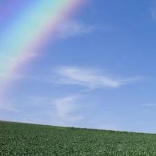 สมาชิกหมายเลข 5515150