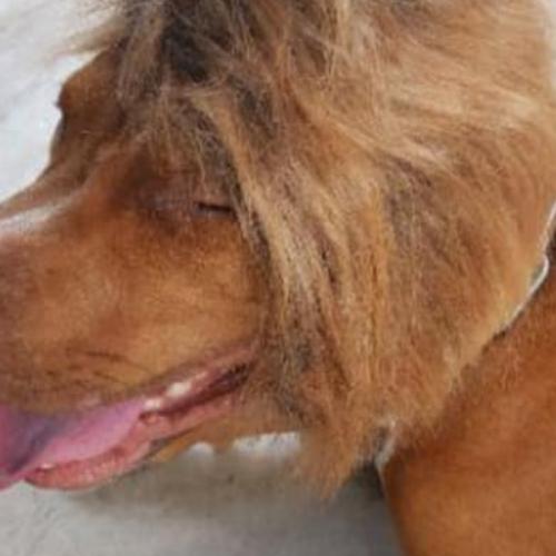 สมาชิกหมายเลข 5659765