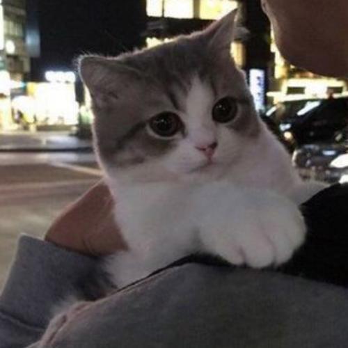 สมาชิกหมายเลข 5717092