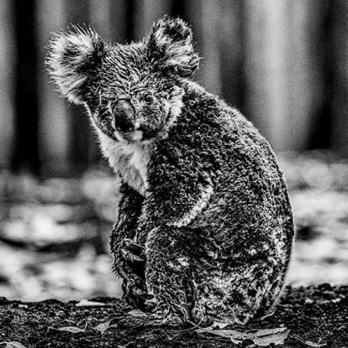 สมาชิกหมายเลข 5724243