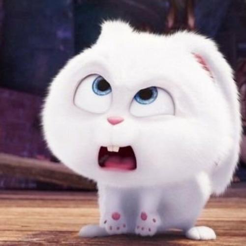 สมาชิกหมายเลข 5724469