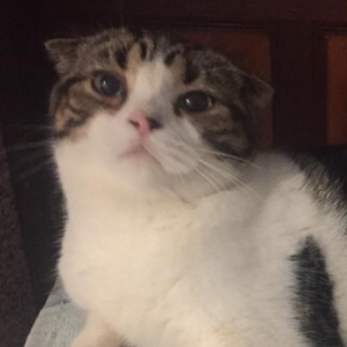 สมาชิกหมายเลข 5724615