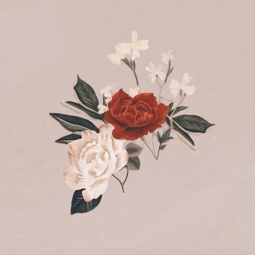 สมาชิกหมายเลข 1419233