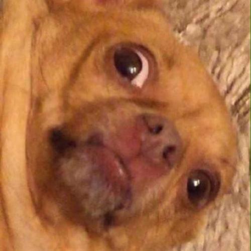 สมาชิกหมายเลข 3740906