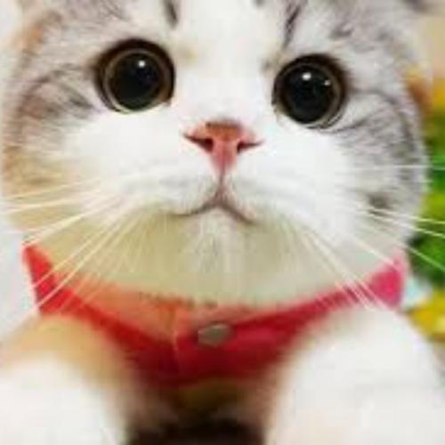 สมาชิกหมายเลข 6307657