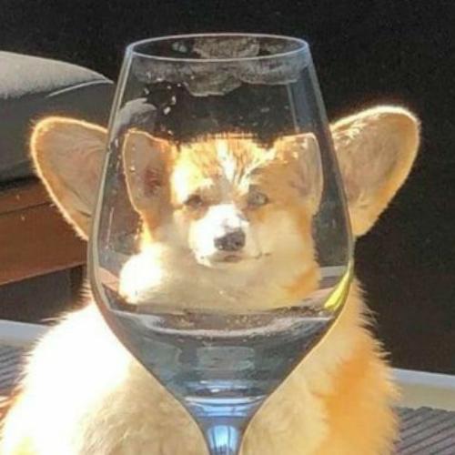 สมาชิกหมายเลข 6987869