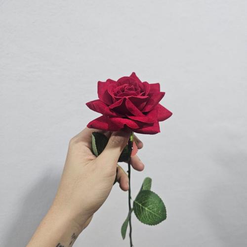 สมาชิกหมายเลข 1889594