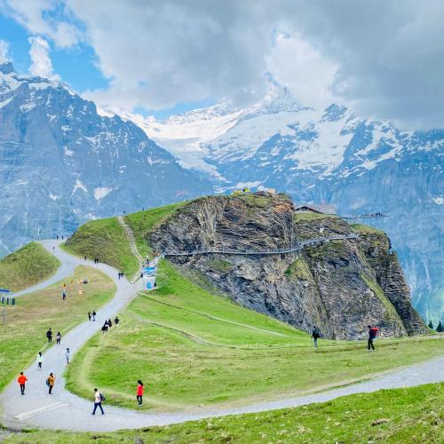 สมาชิกหมายเลข 7751454