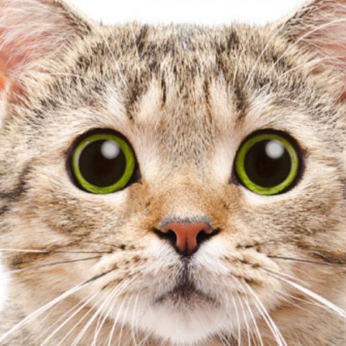 สมาชิกหมายเลข 7751901