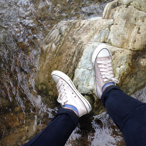 สมาชิกหมายเลข 2833280