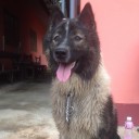 สมาชิกหมายเลข 4119949