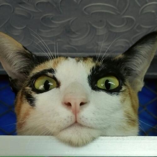 สมาชิกหมายเลข 751511