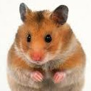 สมาชิกหมายเลข 4660084