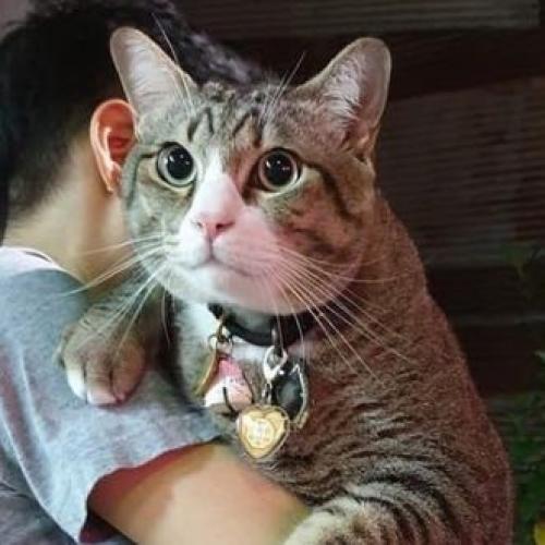 สมาชิกหมายเลข 1244361