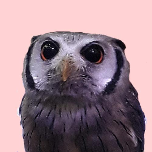 สมาชิกหมายเลข 2961819