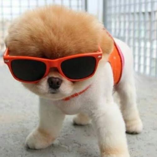 สมาชิกหมายเลข 5280347