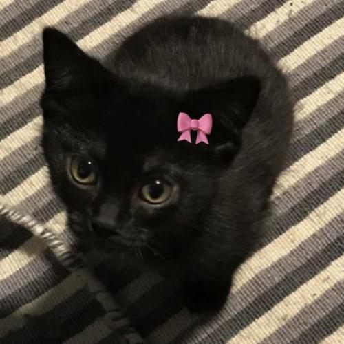 สมาชิกหมายเลข 8441978