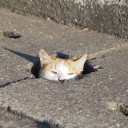 สมาชิกหมายเลข 1859623