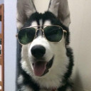 สมาชิกหมายเลข 2097149