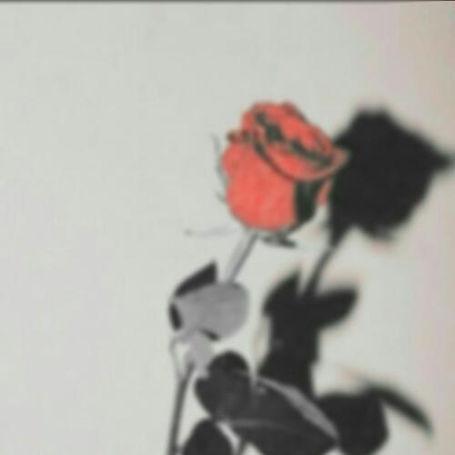 สมาชิกหมายเลข 4545990