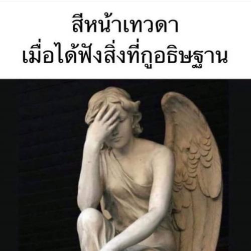 สมาชิกหมายเลข 1651850