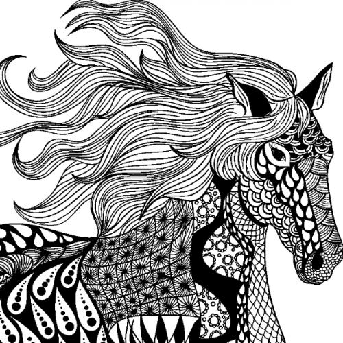 สมาชิกหมายเลข 2515771