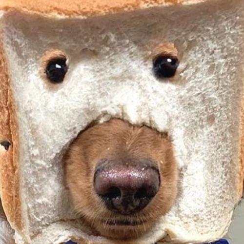 สมาชิกหมายเลข 4076407