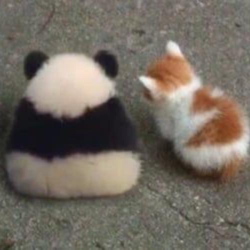 สมาชิกหมายเลข 5382122