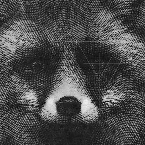 สมาชิกหมายเลข 6309879