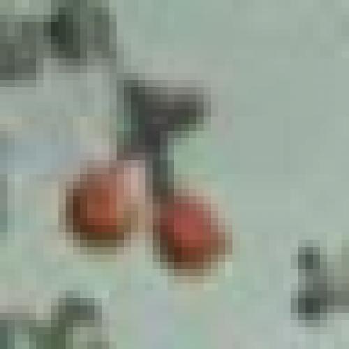 สมาชิกหมายเลข 6989309