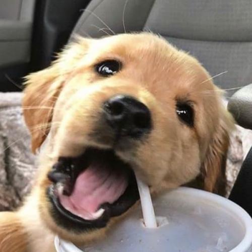 สมาชิกหมายเลข 6572495