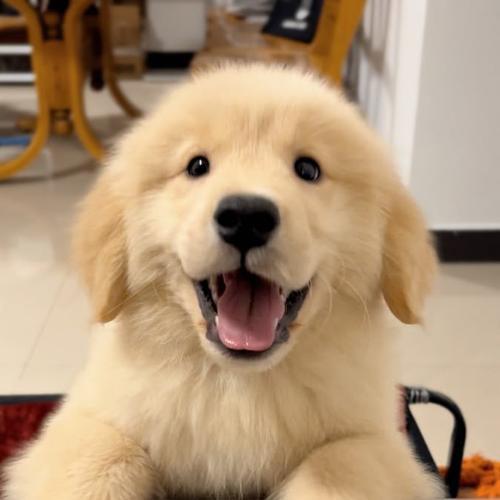 สมาชิกหมายเลข 8709978